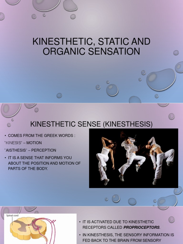 Kinesthetic and Organic Sensation Vestibular System Senses