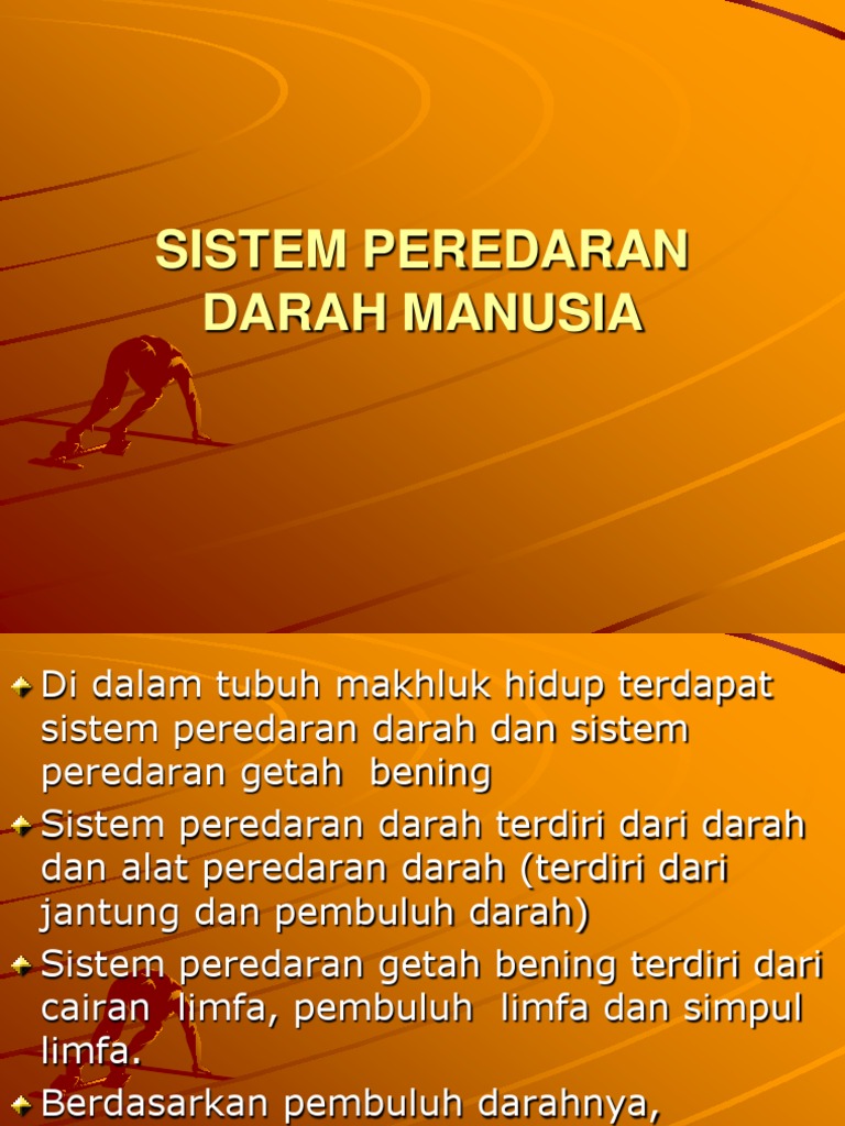 Sistem Peredaran Darah Manusia