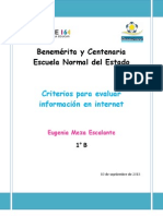 Criterio para Evaluar La Informacion de Internet PDF