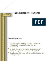 Neurological System