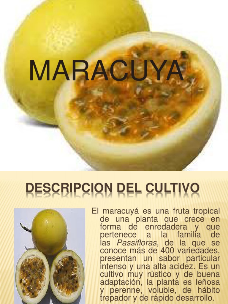 Cultivo y características del maracuyá | PDF | Siembra | Plantas