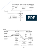 126377463 Pathway Urolithiasis