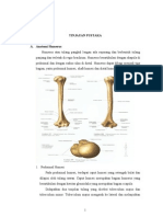 Referat RM (Fr Midshaft Humeri)