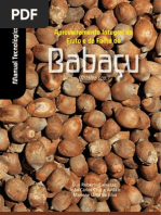 babaçu