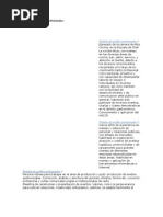 Download Modelos de perfiles profesionalesdocx by Gerson Anibal PC SN167153153 doc pdf