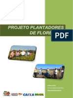 Apresentacao Proj Plantadores de Florestas 260813