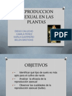 Reproduccion Asexual en Las Plantas