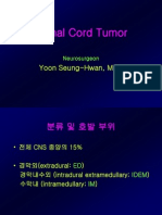 spinal Cord Tumor