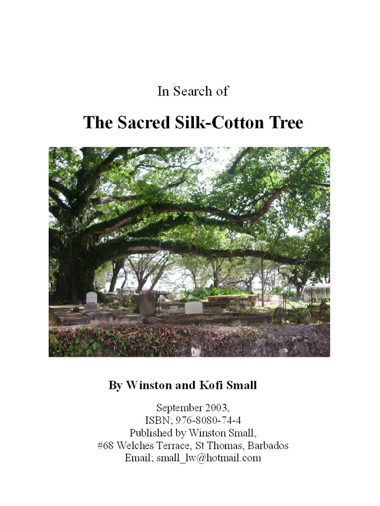 In Search Of The Sacred Silk Cotton Tree Trees Seed