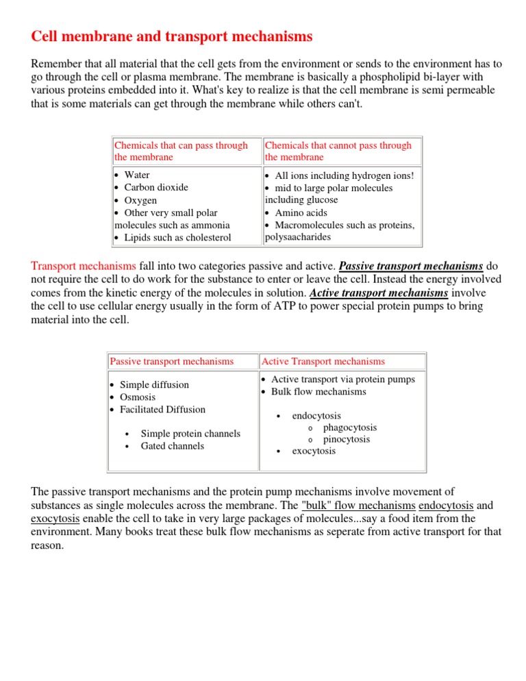 Cell Membrane and Transport Mechanisms | PDF | Social Science | Science ...