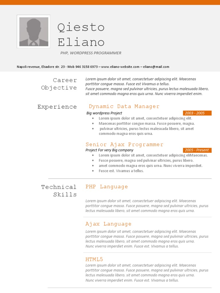 Programer - CV Template | PDF