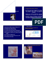 ORIGEM MÉTODO FACILITAÇÃO NEUROMUSCULAR PROPRIOCEPTIVA