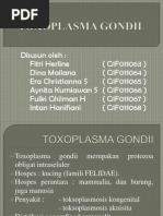 Download ppt TOXOPLASMA GONDII by Intan Hanif SN167196424 doc pdf