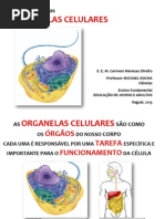 Guia Prático das ORGANELAS CELULARES - Resumo