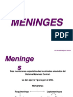 9. Meninges