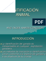 Identificacion Animal