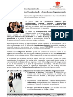 Articulo - p002 - Que Son Las Constelaciones Organizacionales - NDBG 2009