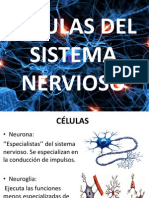 Células Del Sistema Nervioso