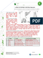 Articles-25398 Recurso Pauta PDF