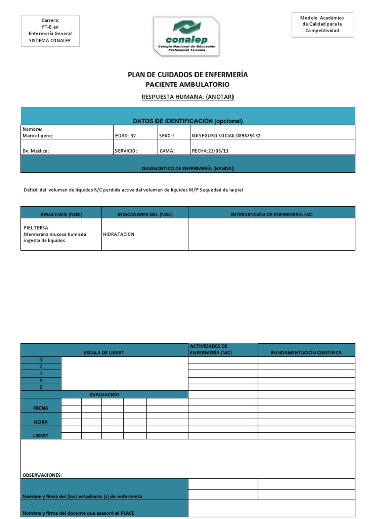 Plan de Cuidados de Enfermería | PDF | Enfermería | Cuidado de la salud