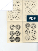 Lab.tablas Porcentajes