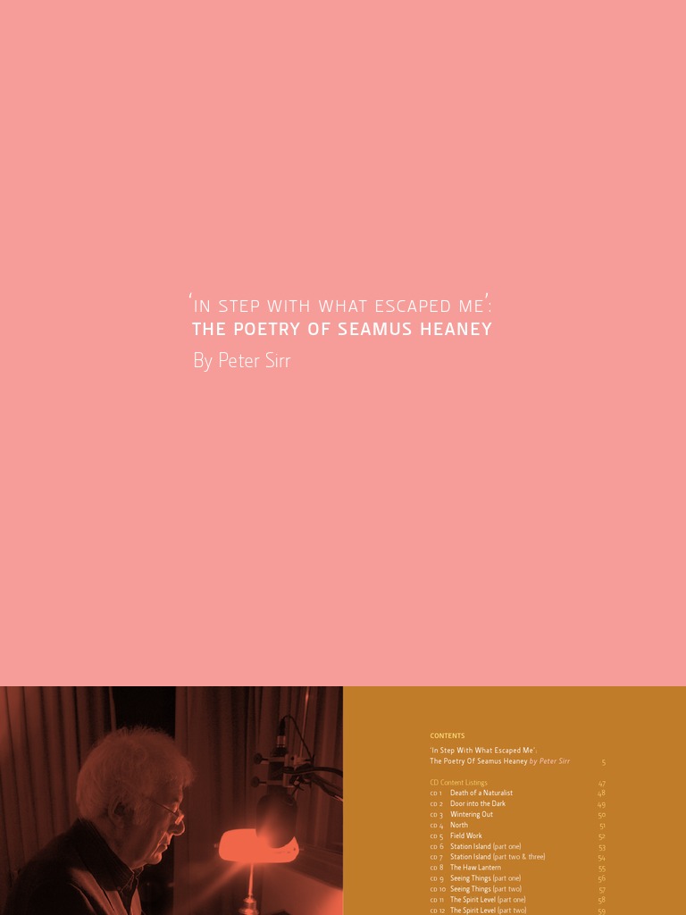 Peter sirr essay 05 picture