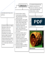 Mapa Conceptual