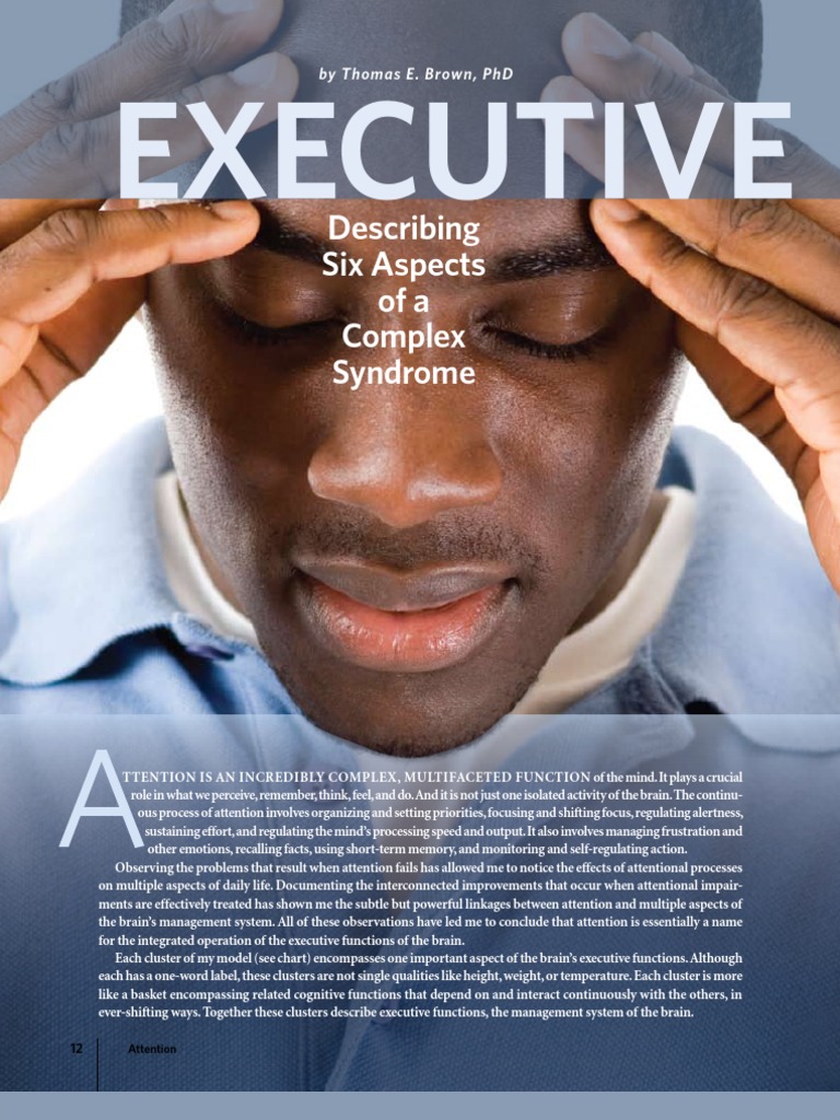 Understanding ADD Syndrome and Executive Functions | PDF | Attention ...