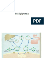 Dislipidemia Final