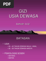 Download GiziDewasaDanLANSIAbyBeatleKangNanangSN167249309 doc pdf