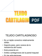 Tejido Cartilaginoso