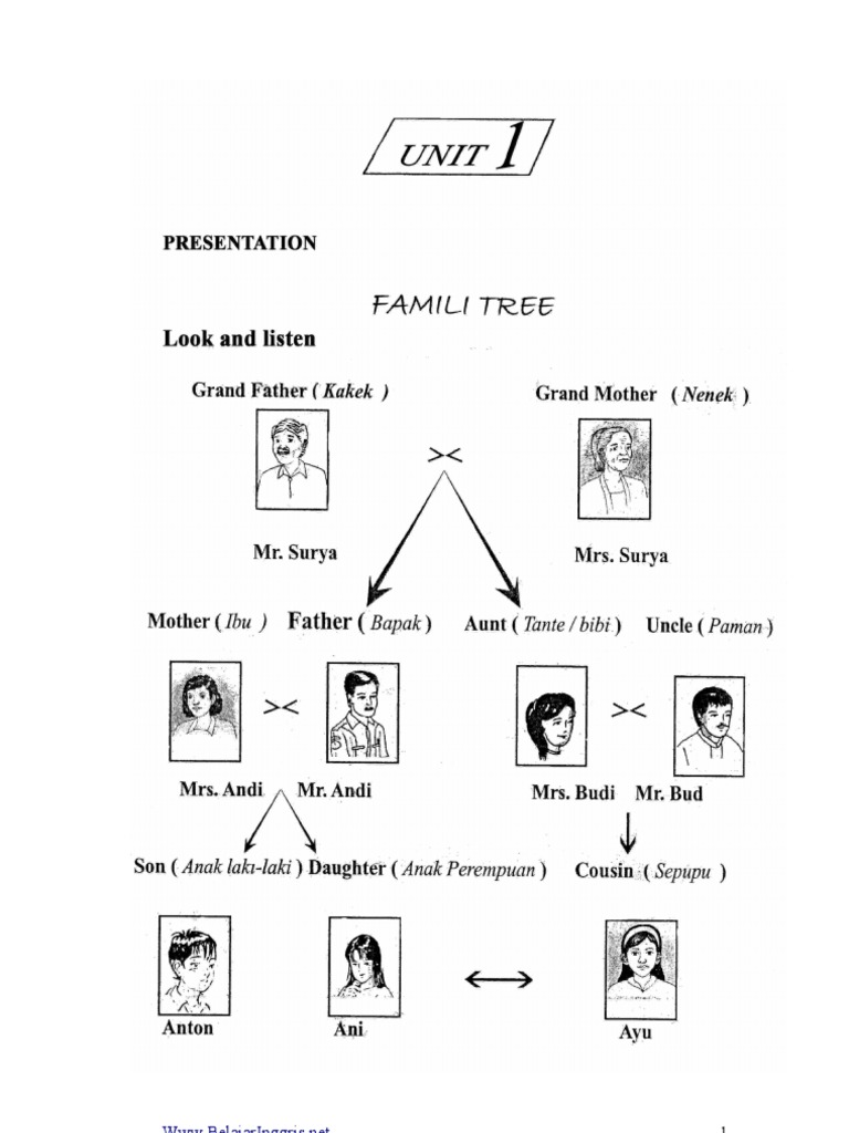 Soal Bahasa Inggris Kelas 7 Tentang Family Tree - Rismax