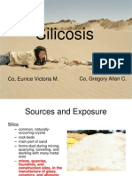 Occupational Health - Silicosis