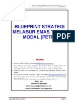 Blueprint Pet m