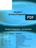 Surface Preparation Guide-SSPC PDF