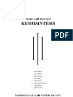 Makalah Kemosintesis