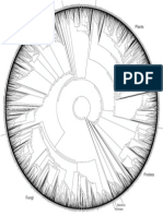 Life Genetic Tree