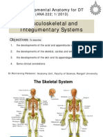 แกะเทป Developmental of Musculoskeletal System