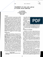 Devt. of Eggs and Larvae in T. Zilli