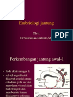 Dr. Sulaiman. Embriologi Jantung