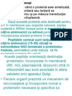 Lp4 Biologie Moleculara