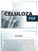 CELULOZA