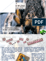 REVISTA ...ARAÑA