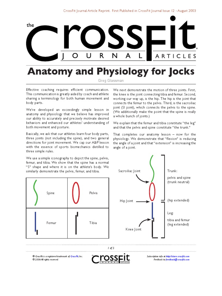 12 03 Anatomy Physiology | Hip | Pelvis