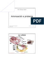 Aminoacidi e Proteine: Le Cellule
