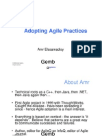 Adopting Agile Practices