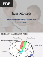 Jaras Motorik