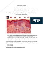 Clase Lesiones Cutaneas