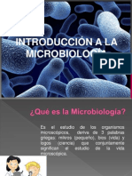 Capacitación de microbiologia 1 - 2013