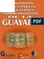 Produccion y Comercializacion de La Guayaba